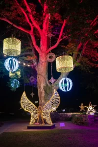 Festival of Lights 2025