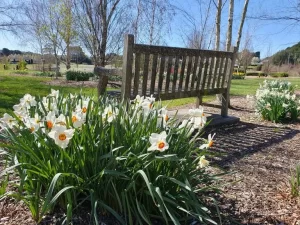 Autumn Gardens Weekend and Plant Fair Bowral